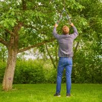 Vorschau: Y001160V.jpg Vorschau: Y001160V.jpg