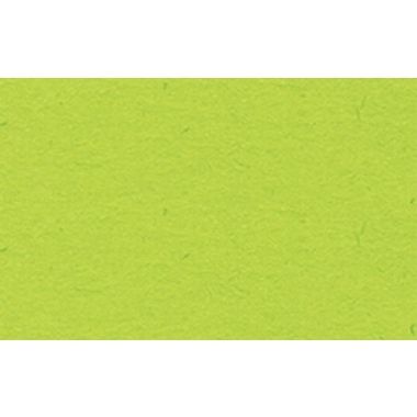 Y001352X.jpg