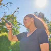 Vorschau: Y001162T.jpg Vorschau: Y001162T.jpg