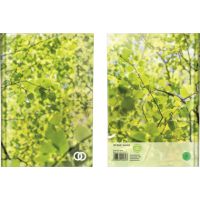 A013623N.jpg A013623N.jpg