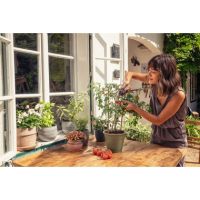 Vorschau: Y001156J.jpg Vorschau: Y001156J.jpg